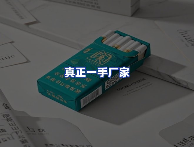 专业团队